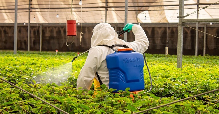 Control de plagas en la agricultura